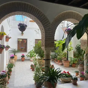 Apartment El Patio De Regina, Cordoba